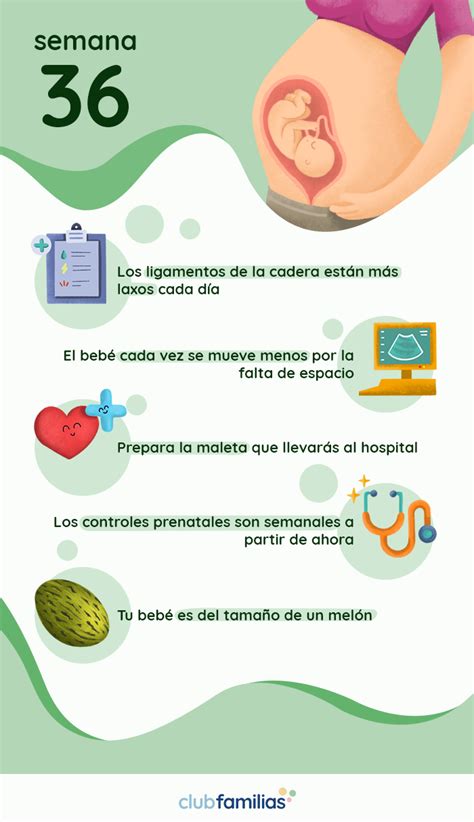 Mujer con 36 semanas de embarazo decide abortar  .